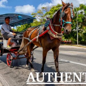 VISITA GUIADA POR VARADERO + PASEO EN COCHE DE CABALLOS