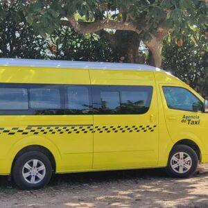 TAXI VANS-Daylin-TRASLADOS